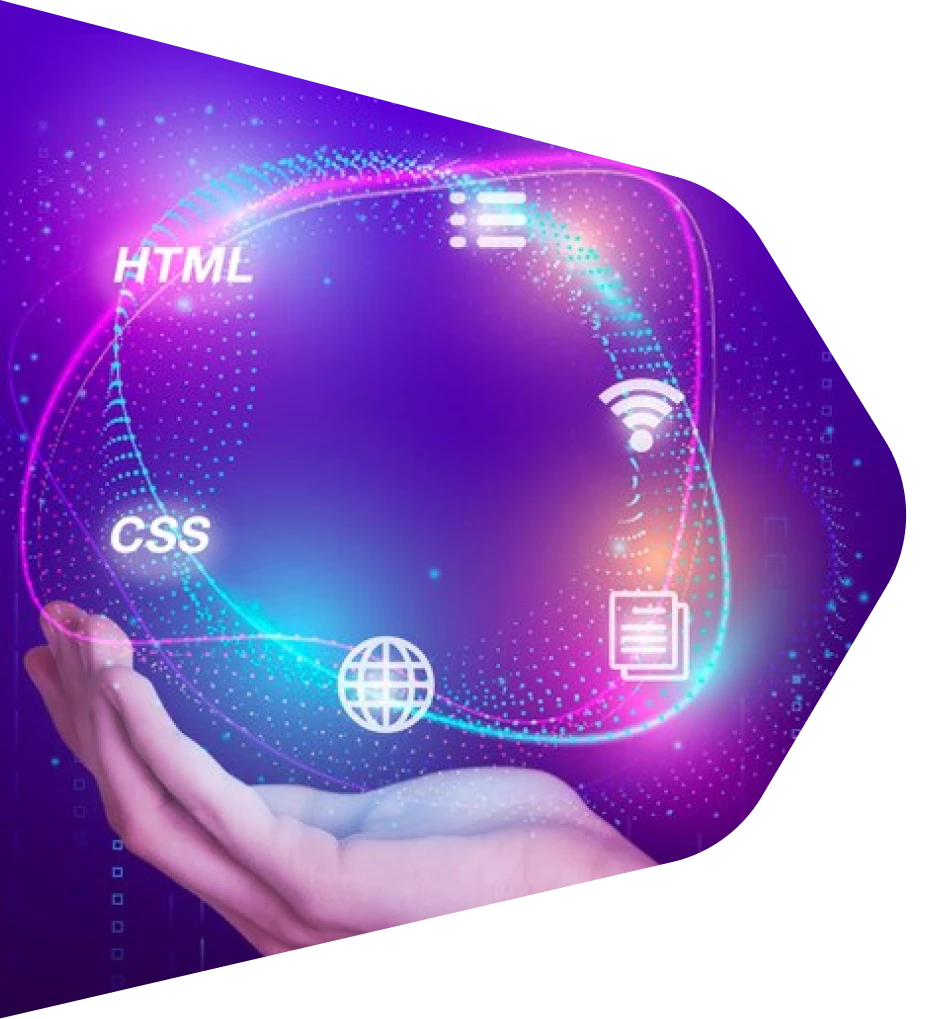 Web Portal App Development